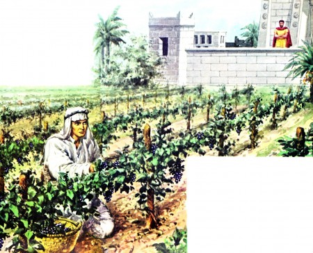 Naboth's Vineyard